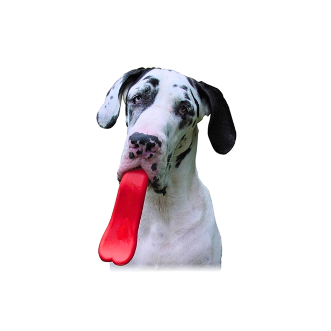 EcoPlay Tongue Orb Hevea Pet EcoPlay Tongue Orb Hevea Pet